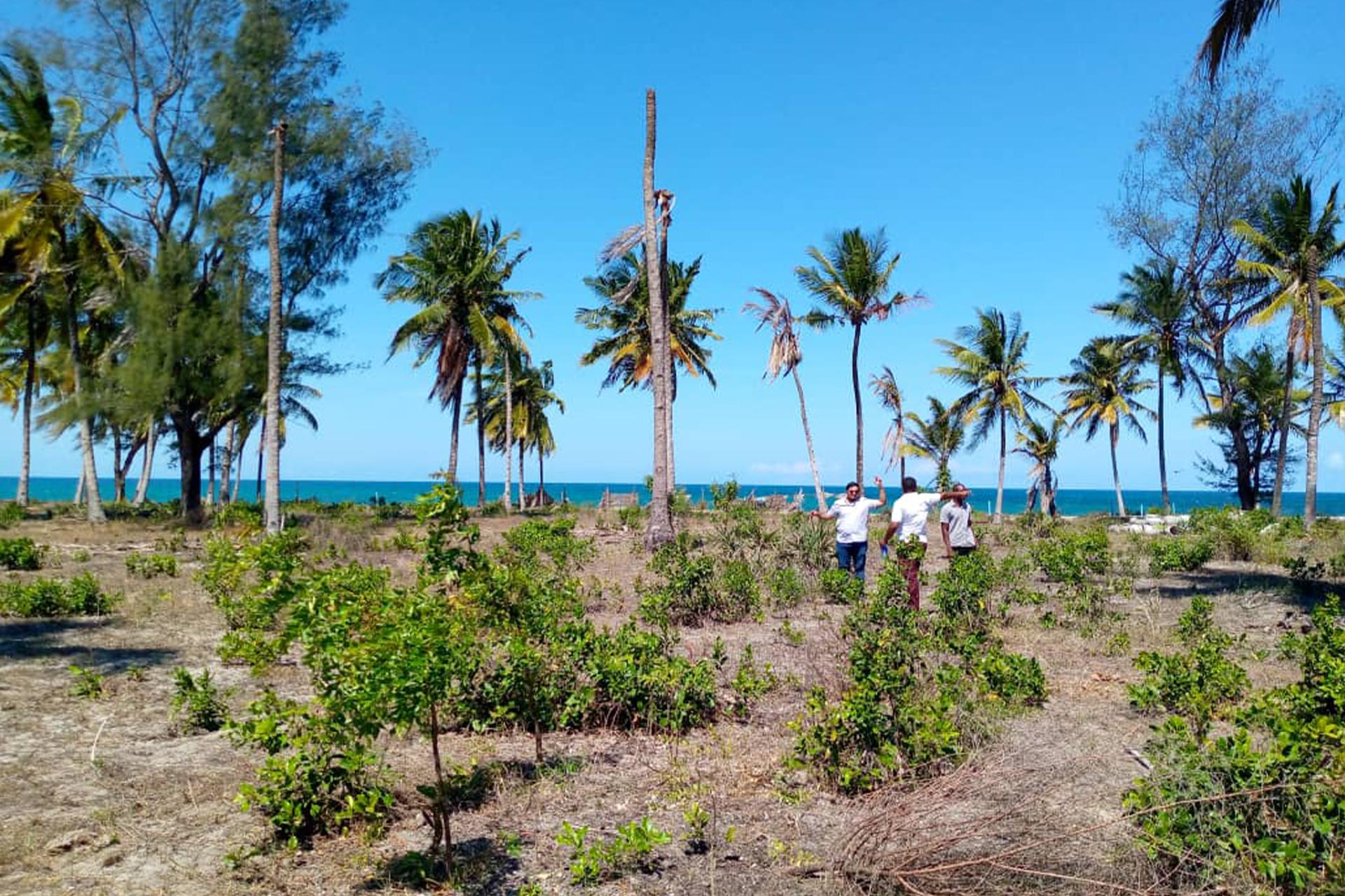 LAND USE CONSULTANCY